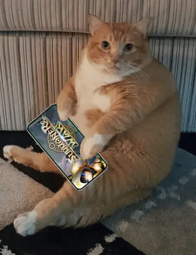 1K€ BTW