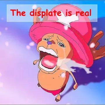OMG DISPLATE IS REAL